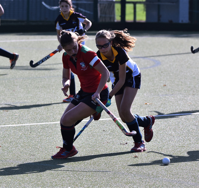 Gallery Somerset Hockey Association